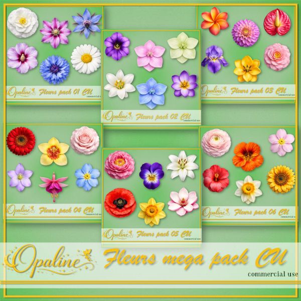 ODW flowers bundle (image for) ODW flowers bundle