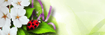Shop Blinkie (image for) Shop Blinkie